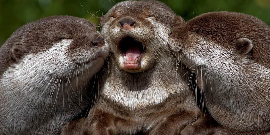świat wydr
